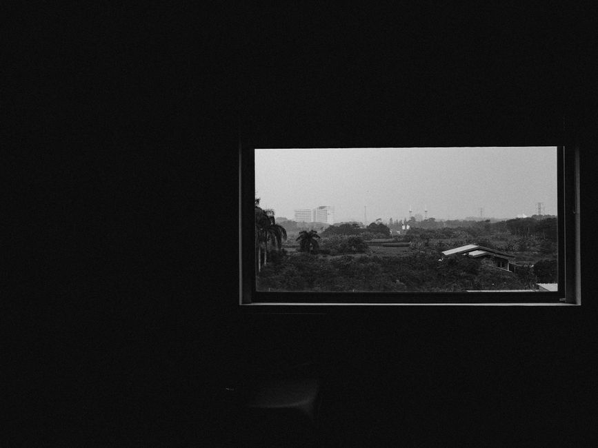 Vue en noir et blanc d'une fenêtre avec un paysage urbain flou et des arbres au premier plan.