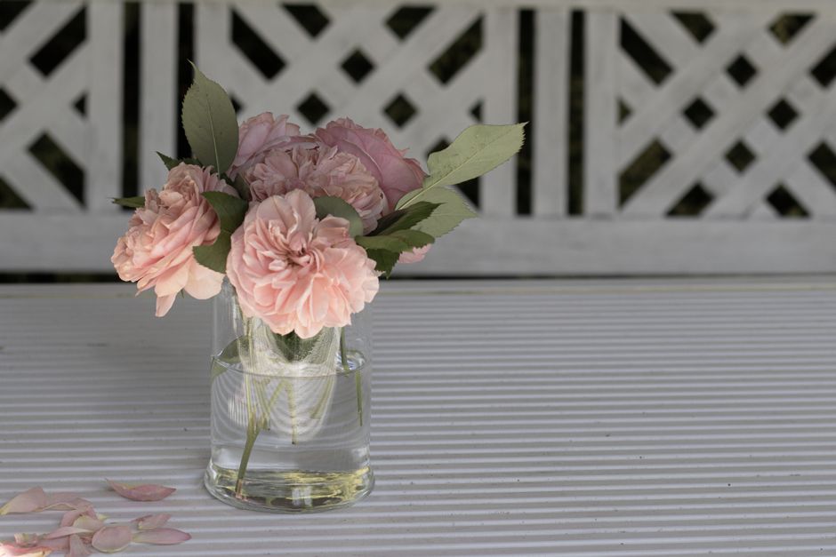 Bouquet de roses roses dans un vase transparent sur une table blanche, avec des pétales éparpillés.