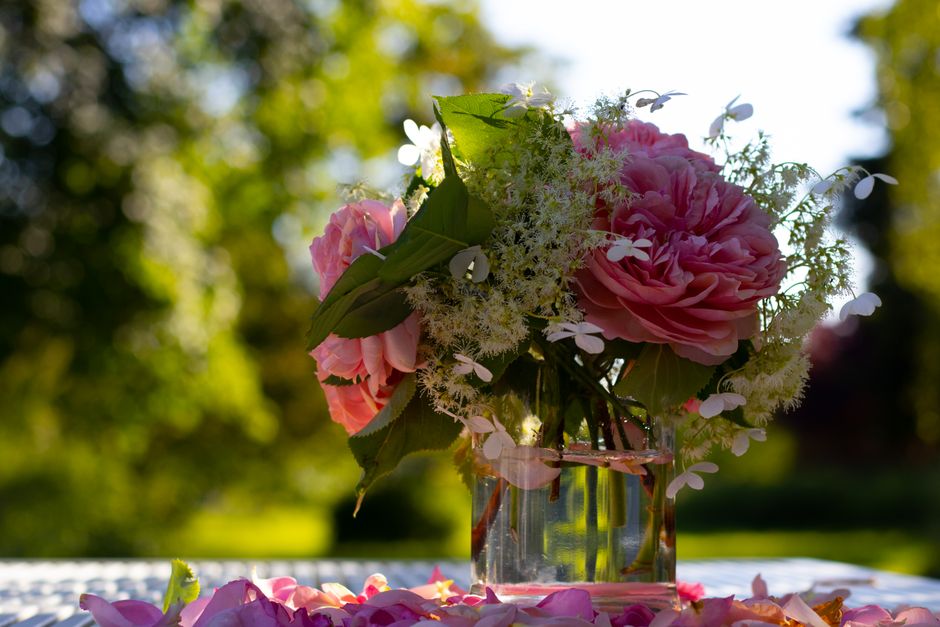 Bouquet de fleurs roses dans un vase transparent, avec des pétales et un arrière-plan verdoyant.
